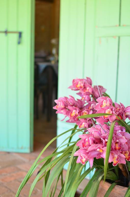 Hotel Cafezal Em Flor Turismo E Cafes Especiais Monte Alegre do Sul Exterior foto