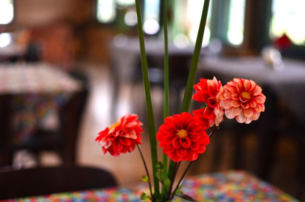 Hotel Cafezal Em Flor Turismo E Cafes Especiais Monte Alegre do Sul Exterior foto